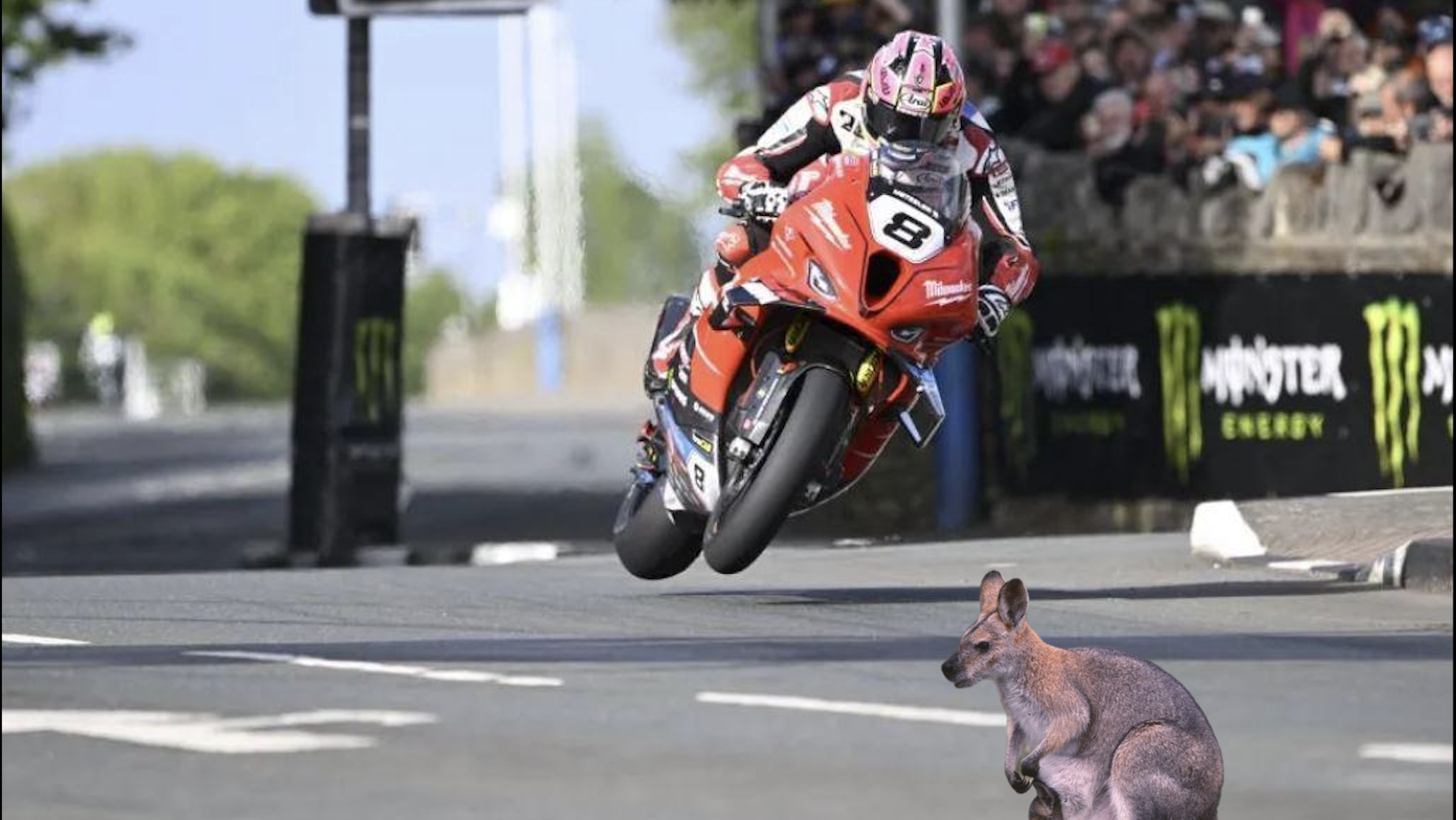 How a wallaby on the TT course 'could' look...